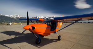 A fish out of water on the Jackson Hole airport ramp