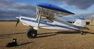 Everything is a runway with Bushwheels and a Bearhawk