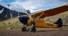 Over the Top: Denali in a Bird Dog