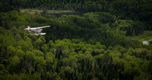 Andy Brown pilots his Aviat Husky A-1A along the Vermillion River
