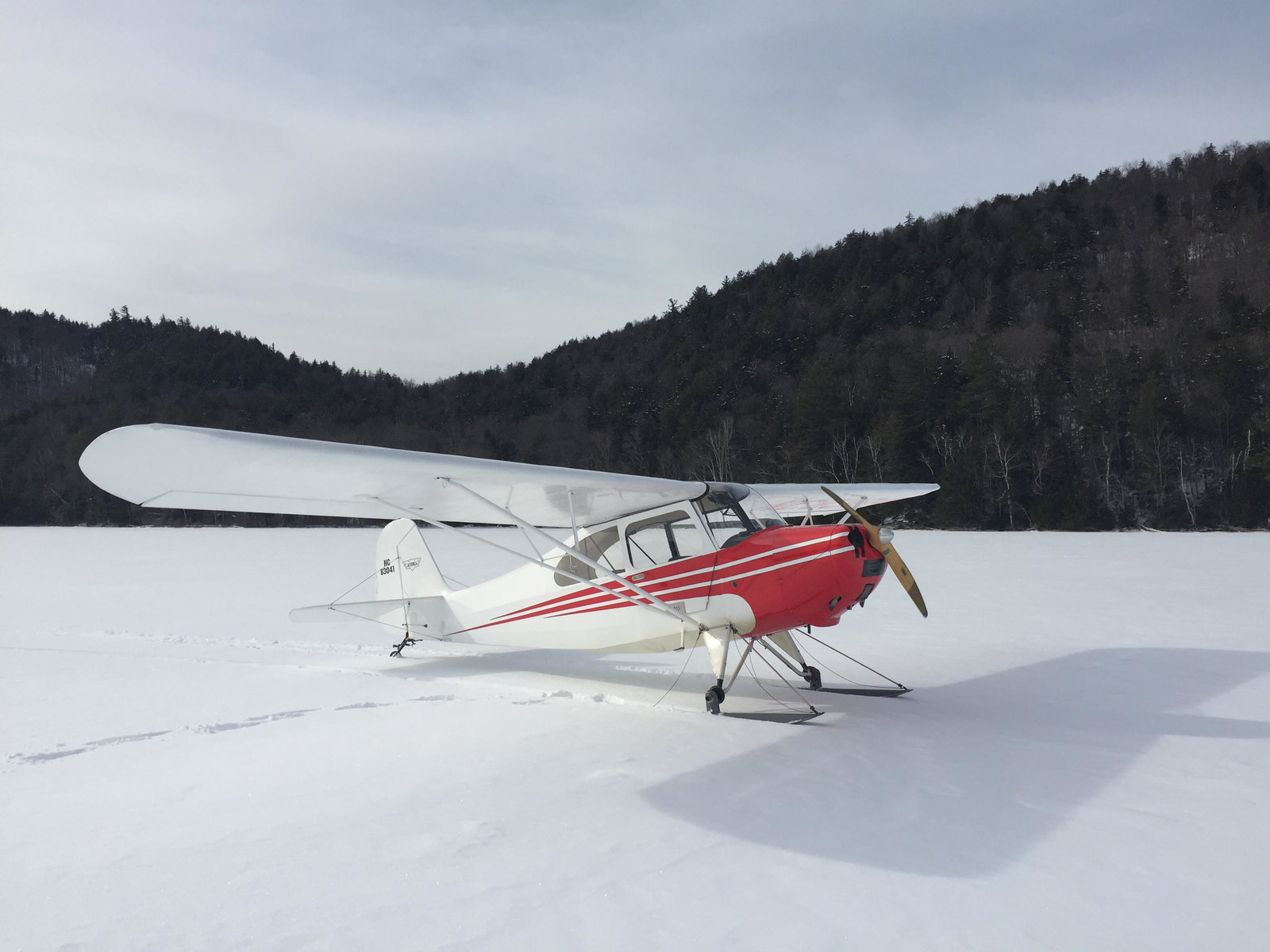 Champ on 13th 1-23-20.jpg