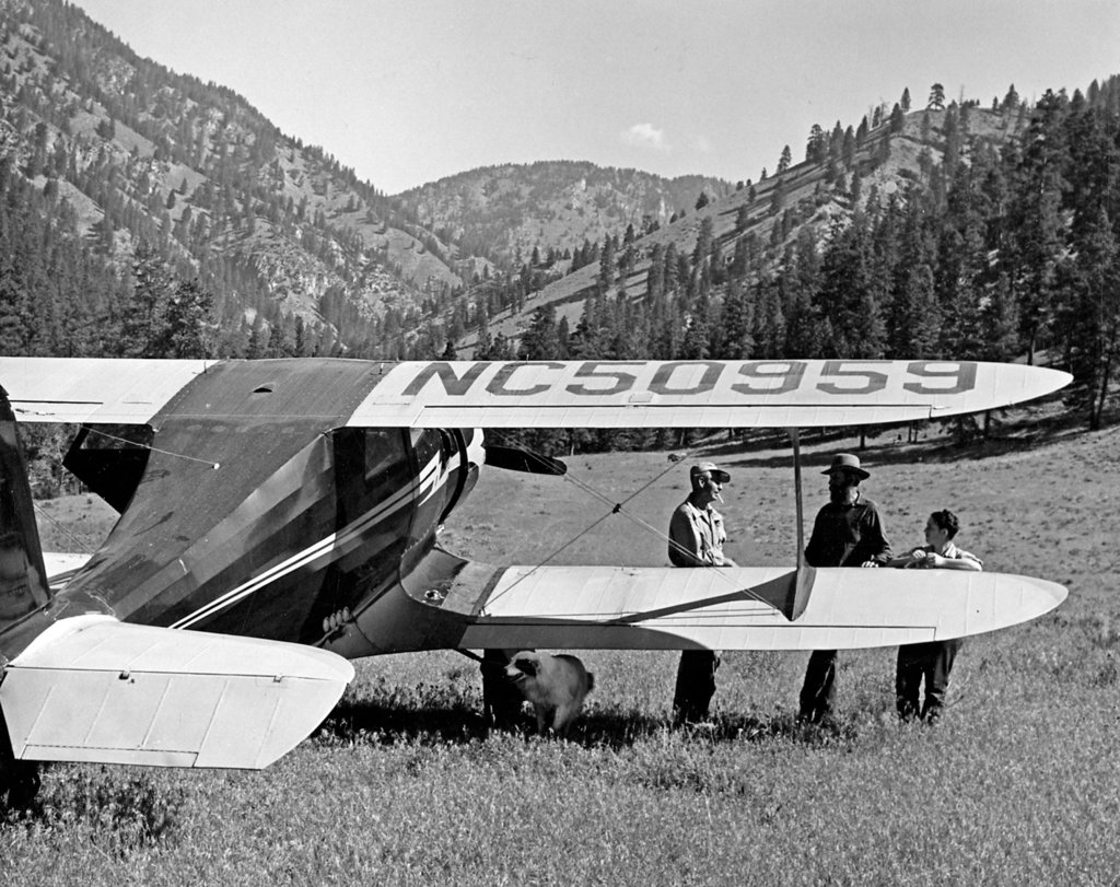 arentz_00031 (3).jpg