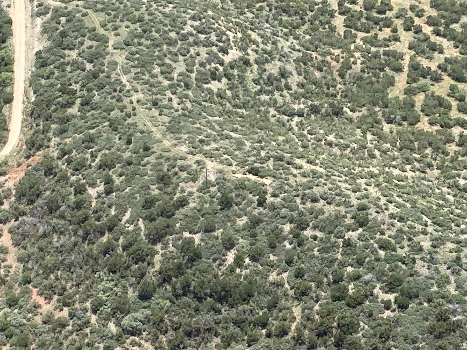 SWW Airmail Arrow.jpg