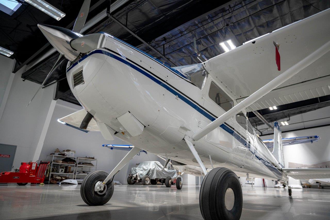 Ace Aviation-17.jpg