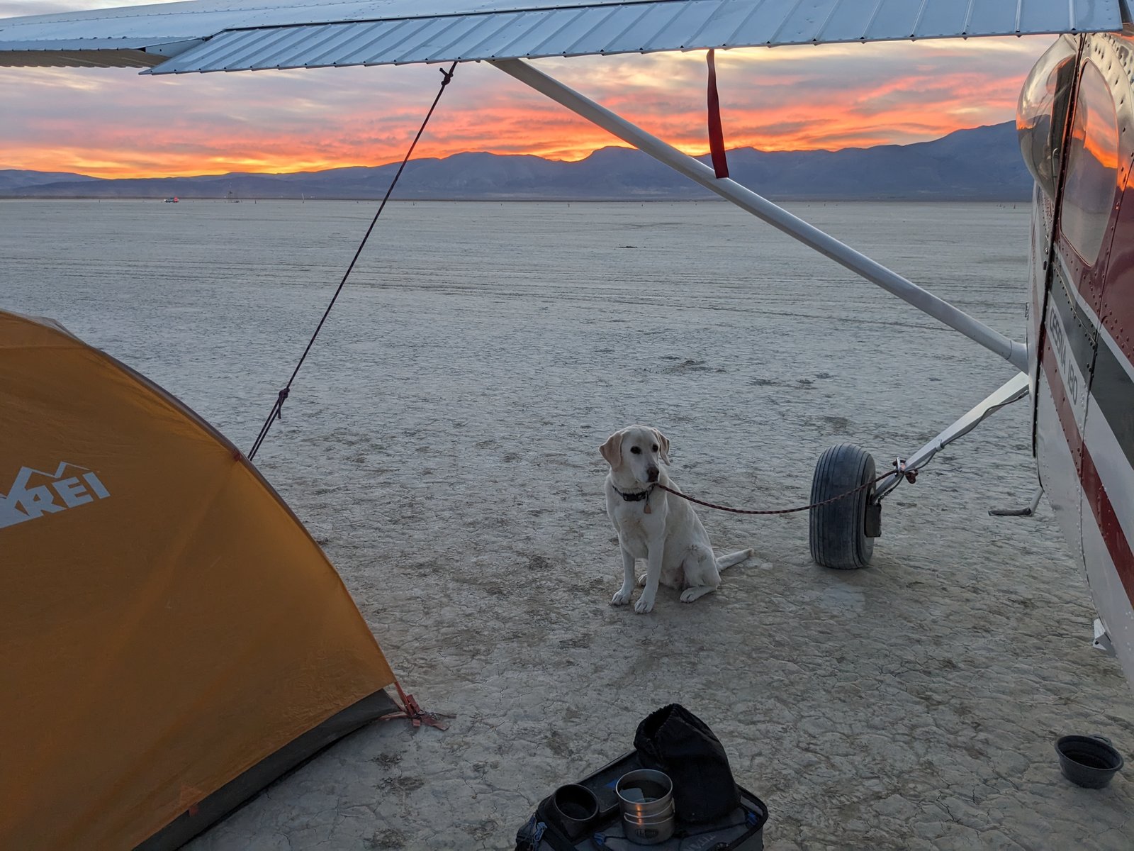 Dead Cow Ollie Sunrise.jpg