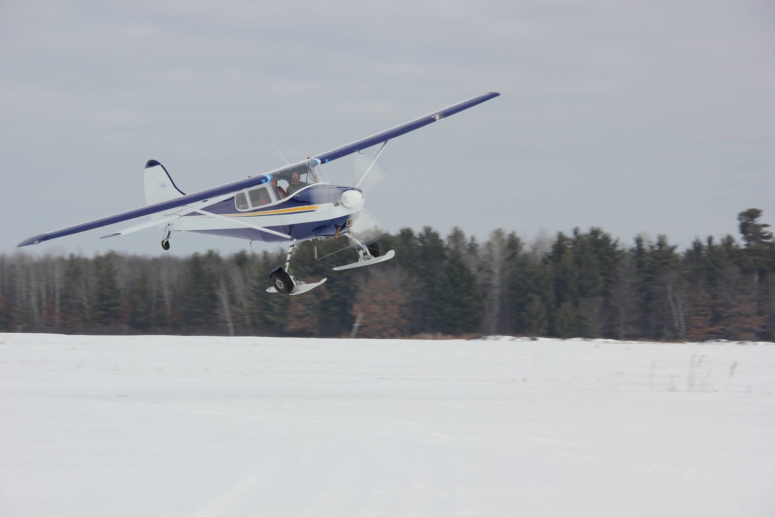 N170KN skis 2014 2.jpg