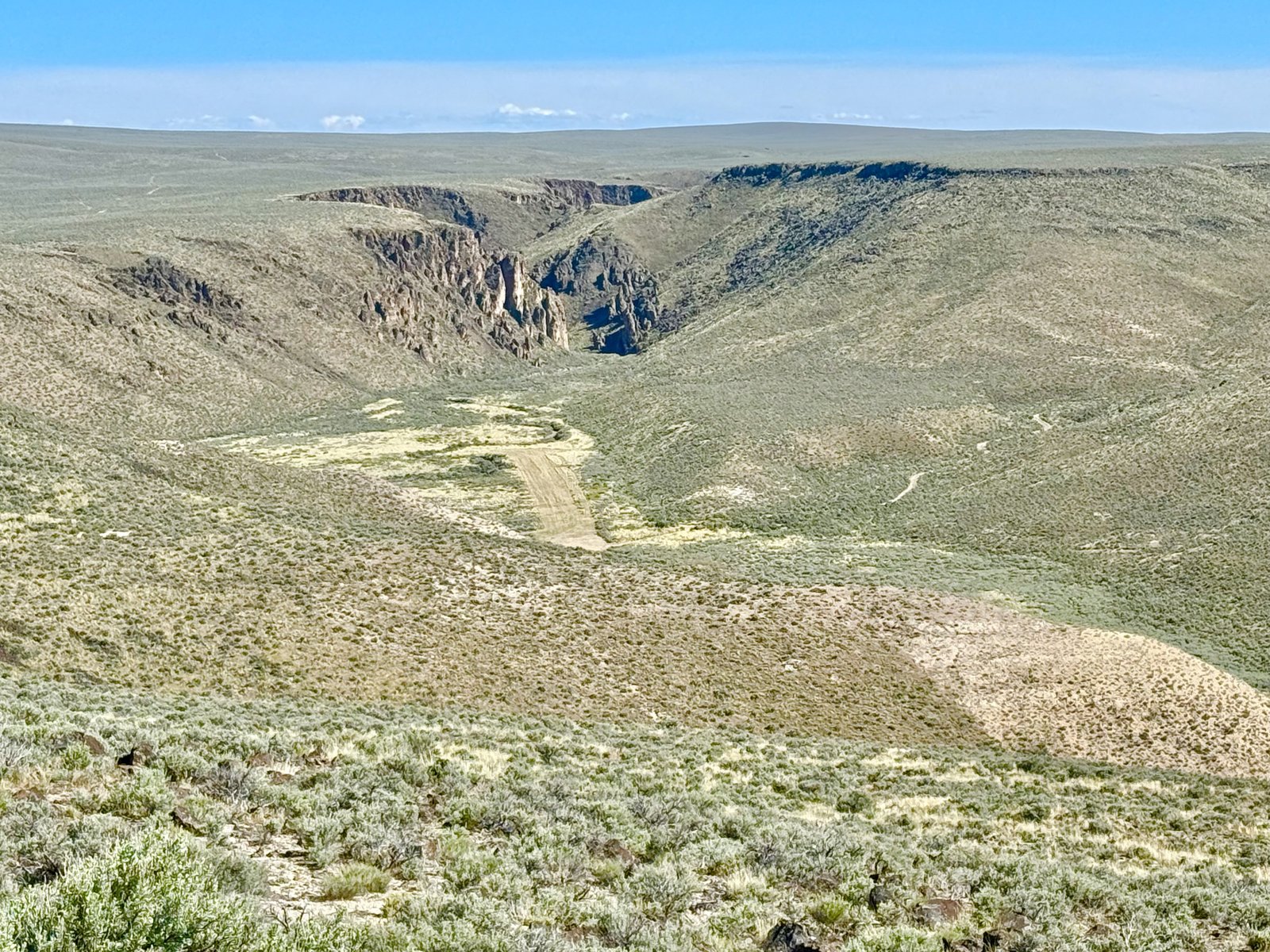 Photo May 24 2025, 5 09 08 PM.jpg